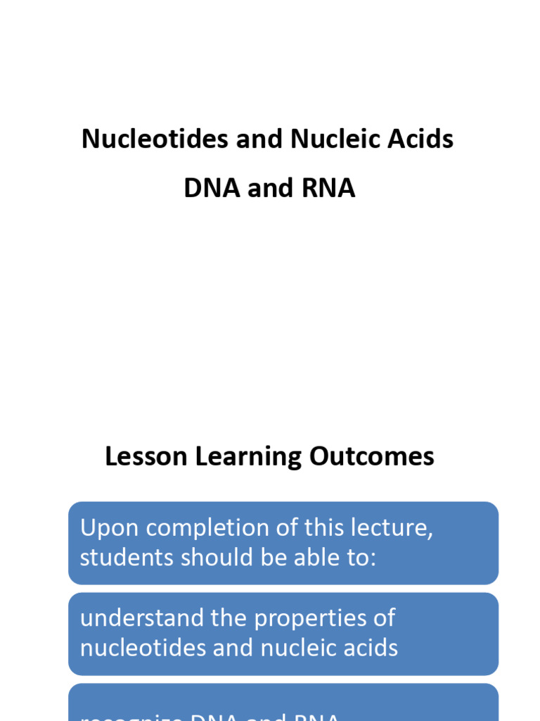 13_1 NUCLEIC ACID | PDF | Nucleic Acids | Nucleotides