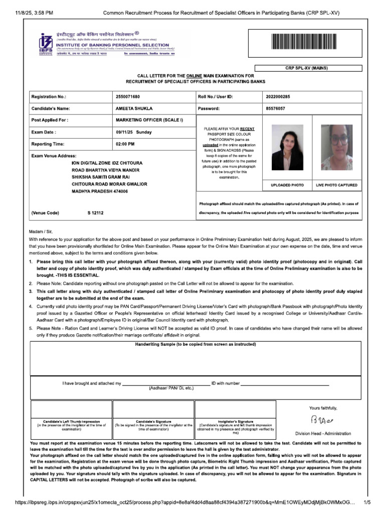 IBPS SO Marketing | PDF