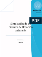 simulacion