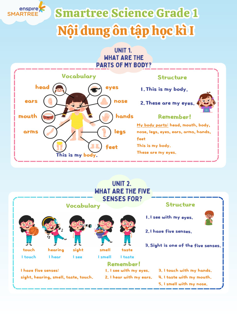 Body Parts and Five Senses Guide | PDF | Senses | Zoology