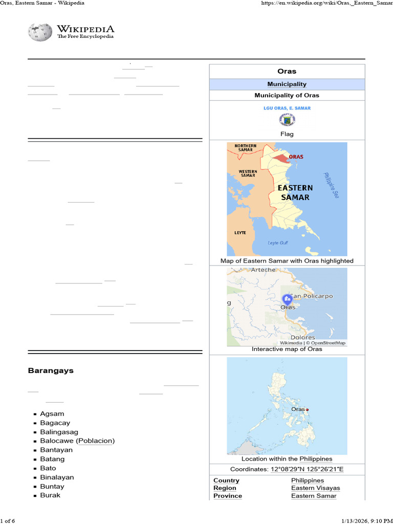 Overview of Oras, Eastern Samar | PDF | Philippines