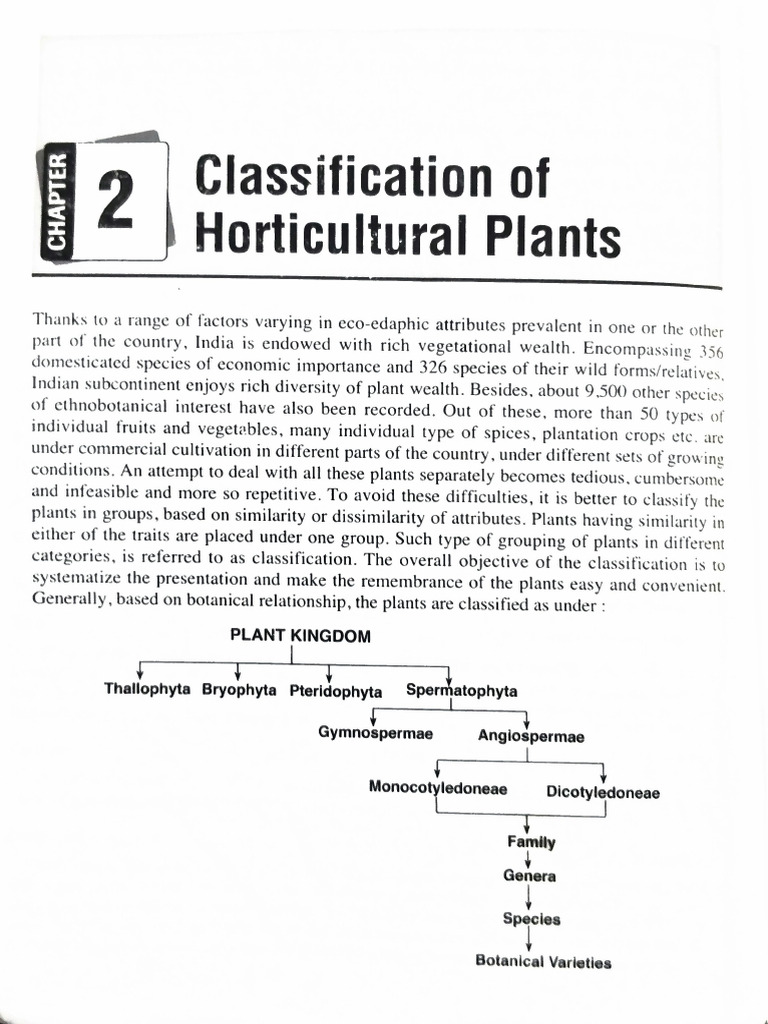 Classification of Horticultural Plants | PDF