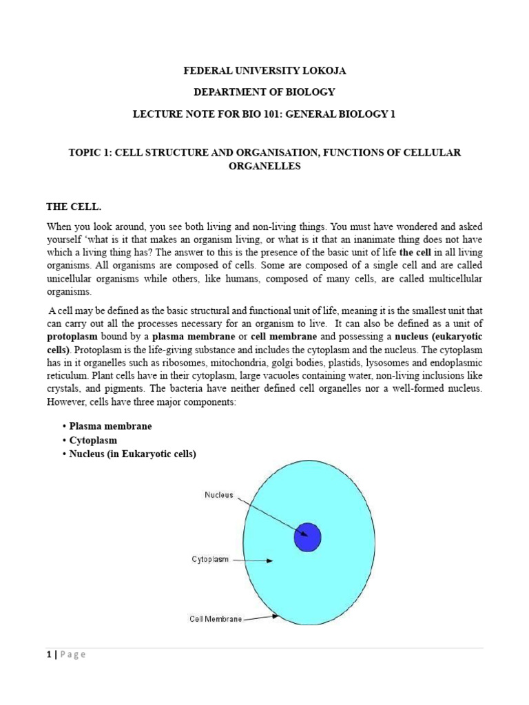 Cell Structure and Organelles Overview | PDF | Gene | Cell (Biology)