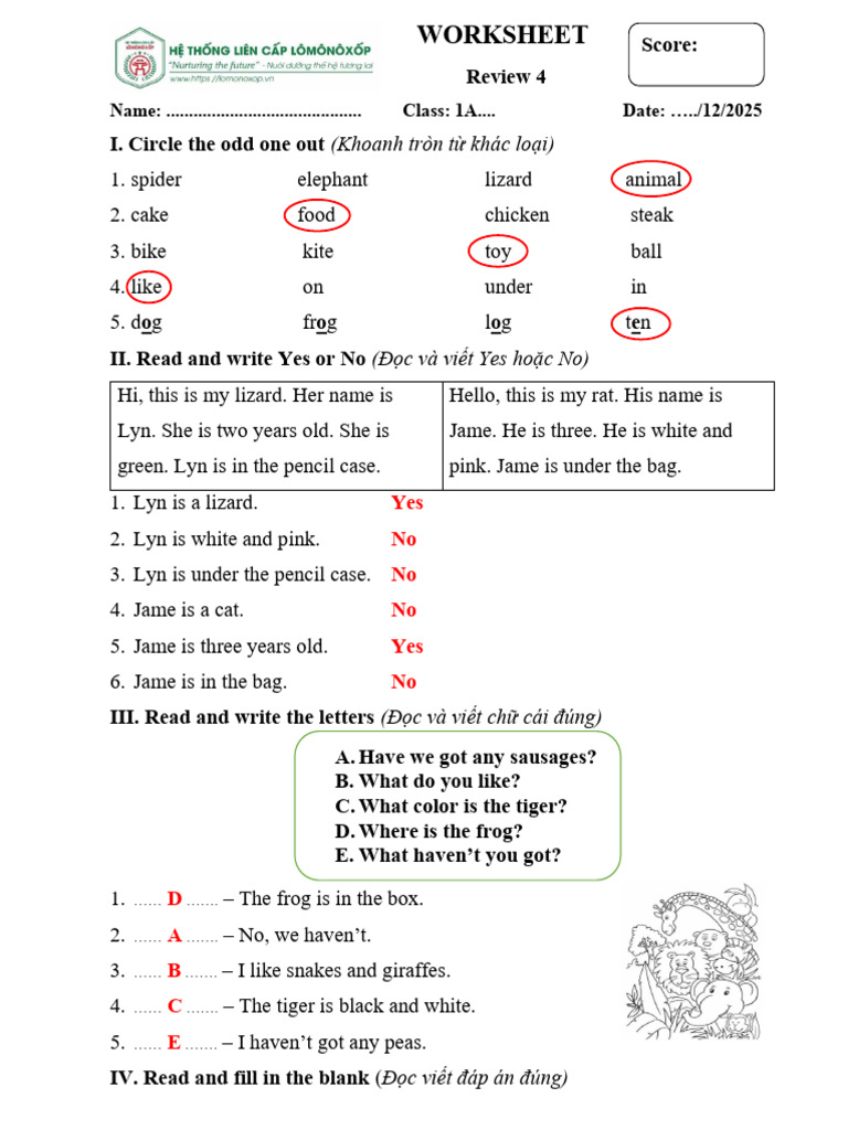 Review 4 - Key | PDF