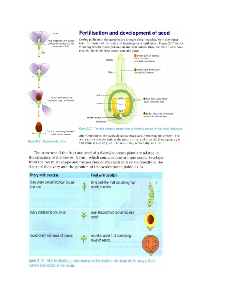 Bio Dispersal Methods PLants | PDF