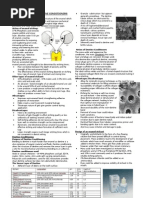 Download Enamel Etching and Dentine Conditioner by Tracie YW SN98052215 doc pdf