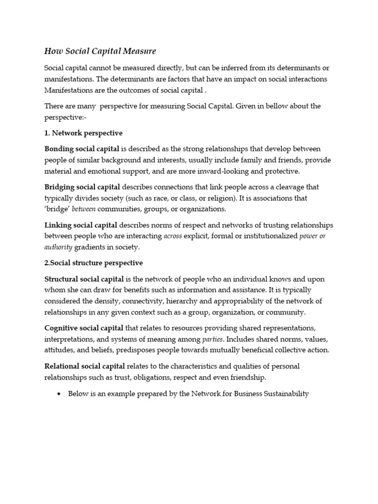Measuring Social Capital: Key Perspectives | PDF | Social Capital ...
