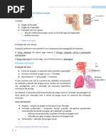 Anatomia e Fisiologia da Voz | PDF | Canto | Voz humana