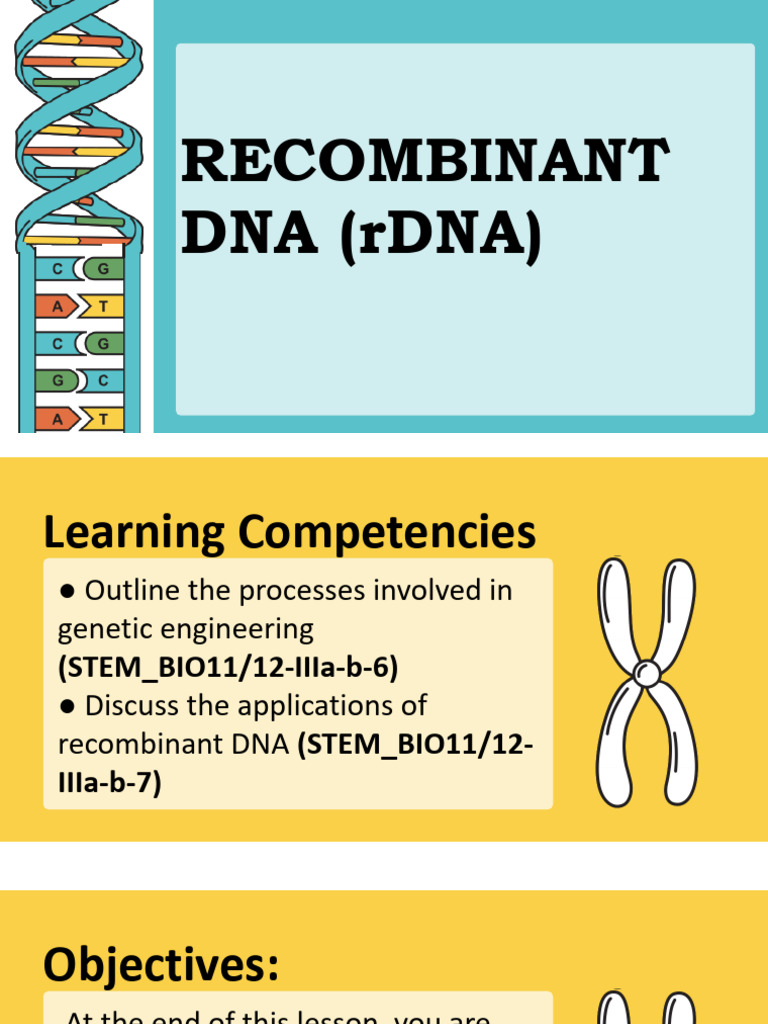 Understanding Recombinant DNA Technology | PDF | Plasmid | Recombinant Dna