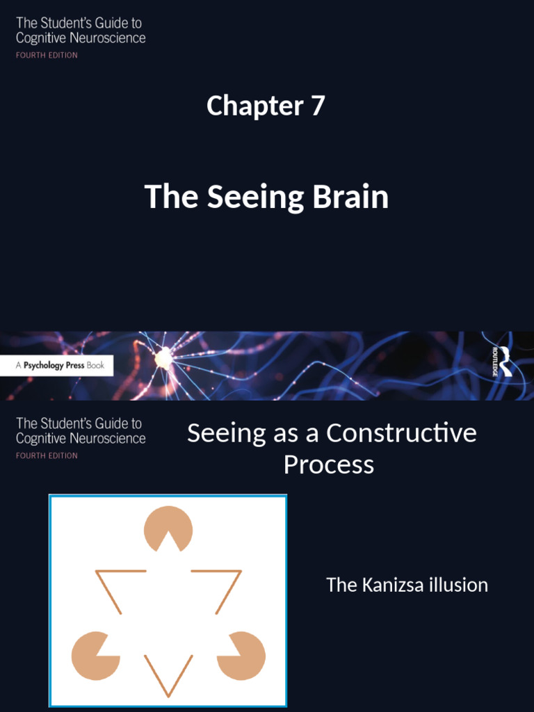 Understanding Visual Processing Pathways | PDF | Visual Cortex | Visual ...