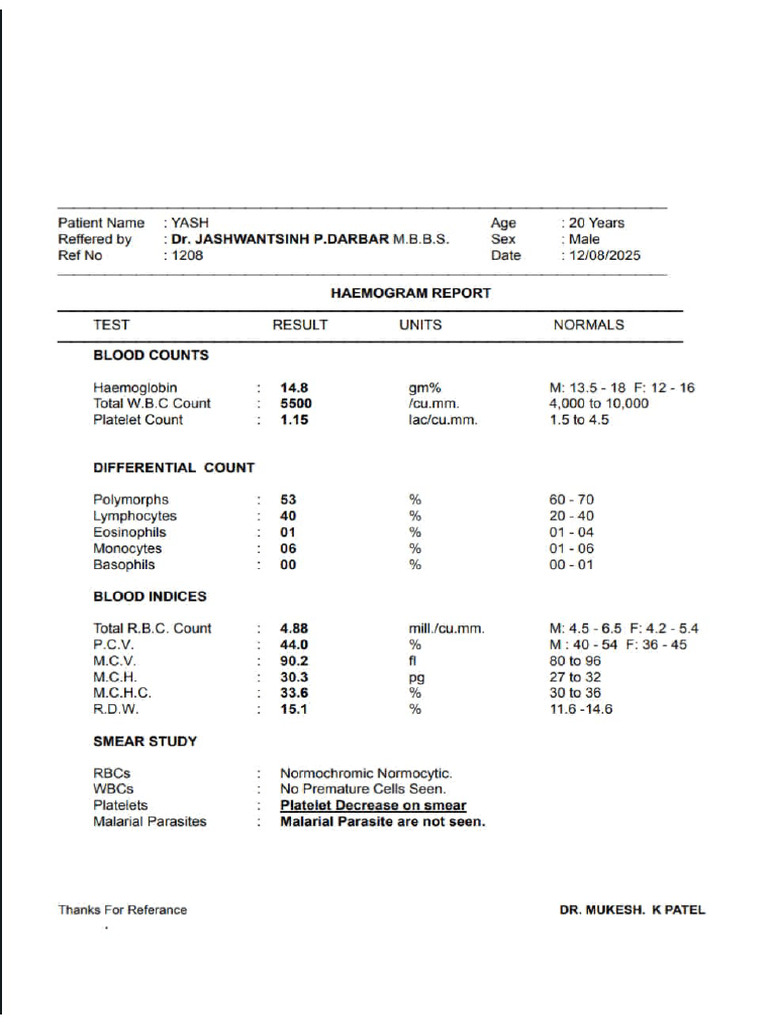 Report | PDF