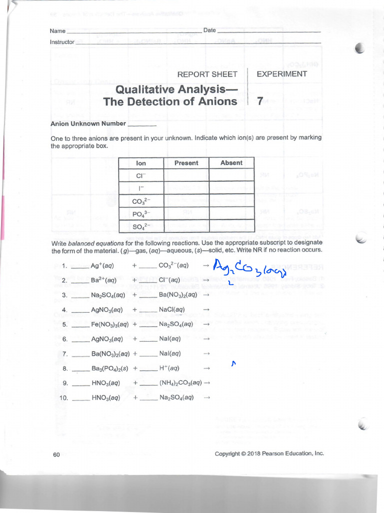 Report Exp 7 Det Anions | PDF