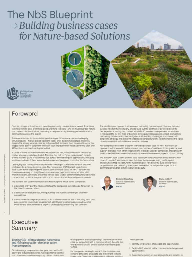 NbS Blueprint: Business Cases for Nature | PDF | Earth Sciences ...