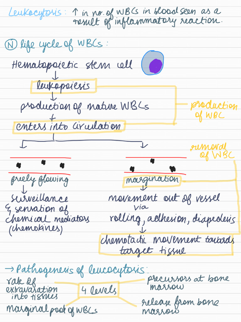 Leukocytosis-sdl_260113_060355 | PDF