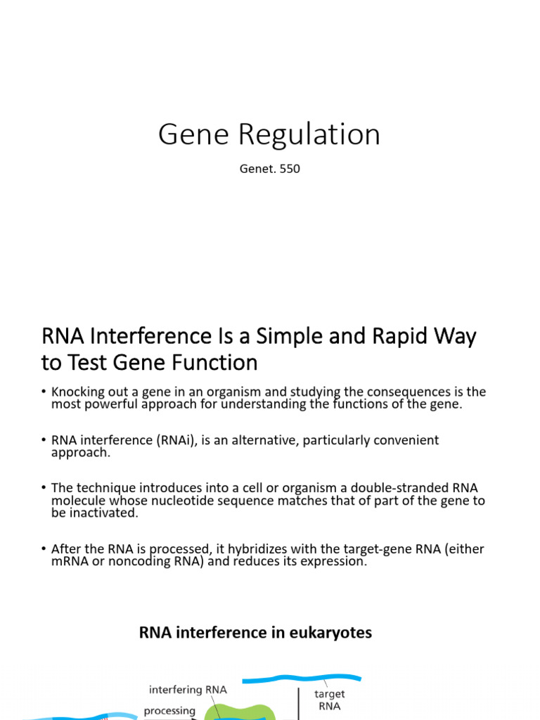 RNA Interference for Gene Function Testing | PDF | Rna Interference | Gene