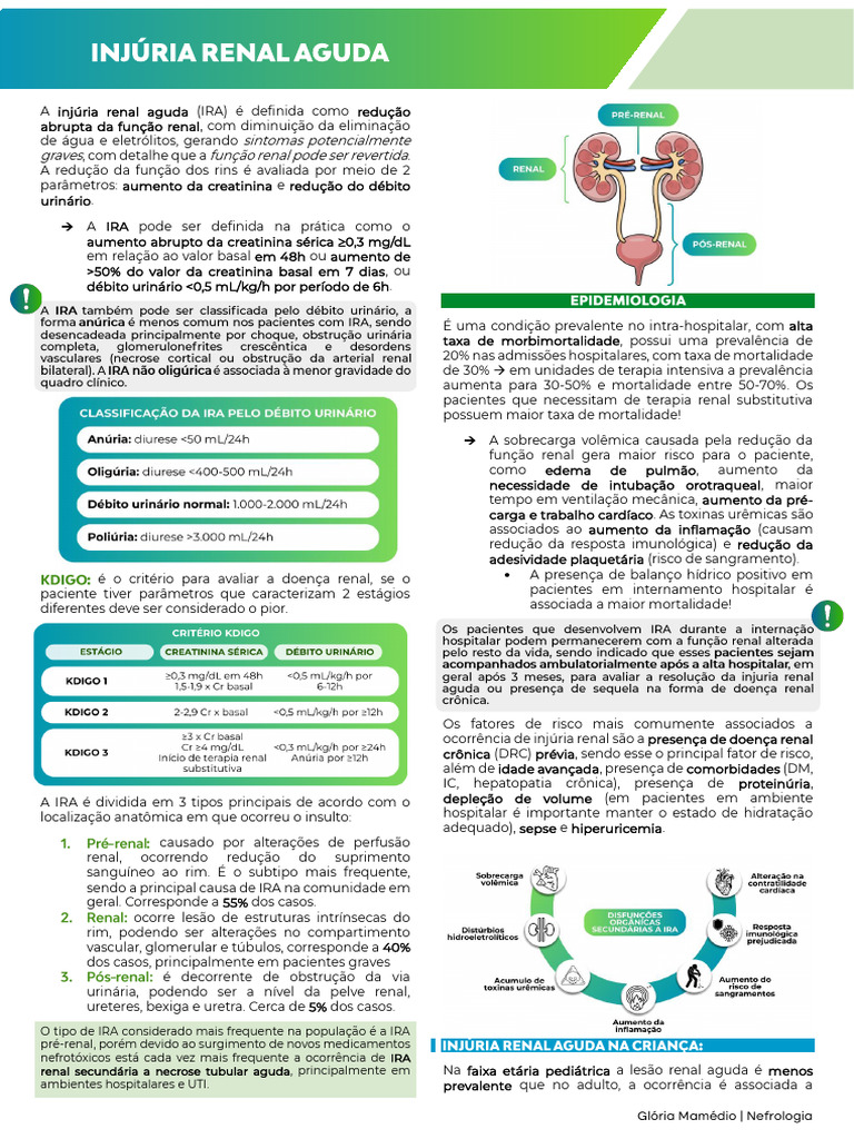 Injúria Renal Aguda: Causas e Diagnóstico | PDF | Creatinina | Rim