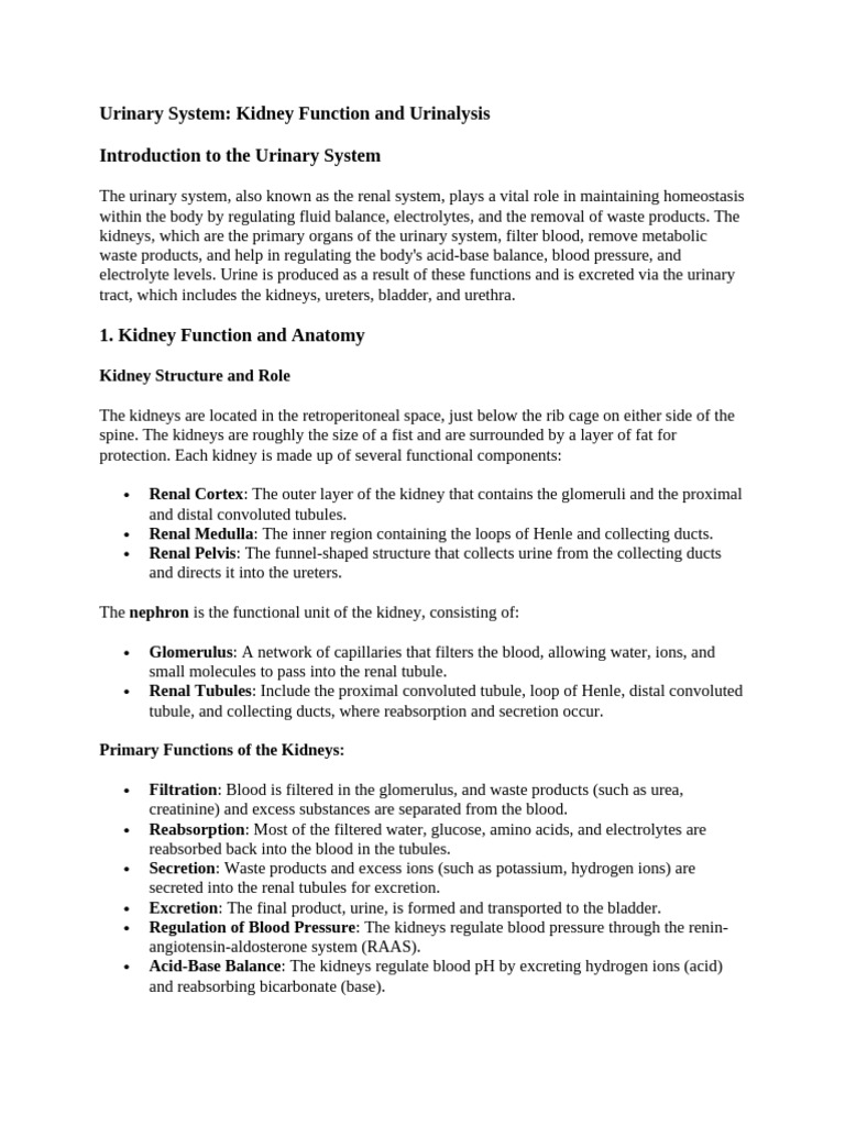 Kidney Function & Urinalysis Guide | PDF | Kidney | Urinary System