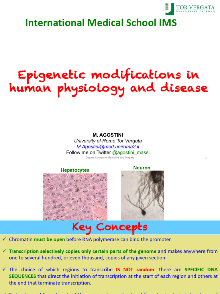(3)Epigenetic | PDF | Epigenetics | Dna Methylation