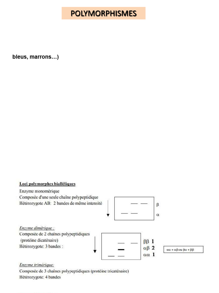 Types de polymorphisme génétique expliqués | PDF | Génotype ...
