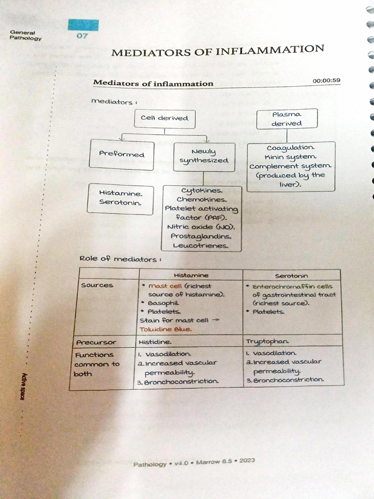 Mediators of Inflammation Explained | PDF | Complement System | Immunology