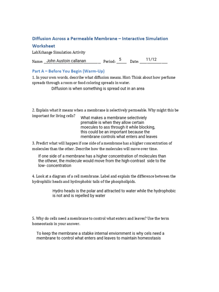 Diffusion Simulation Worksheet Guide | PDF | Cell Membrane | Diffusion
