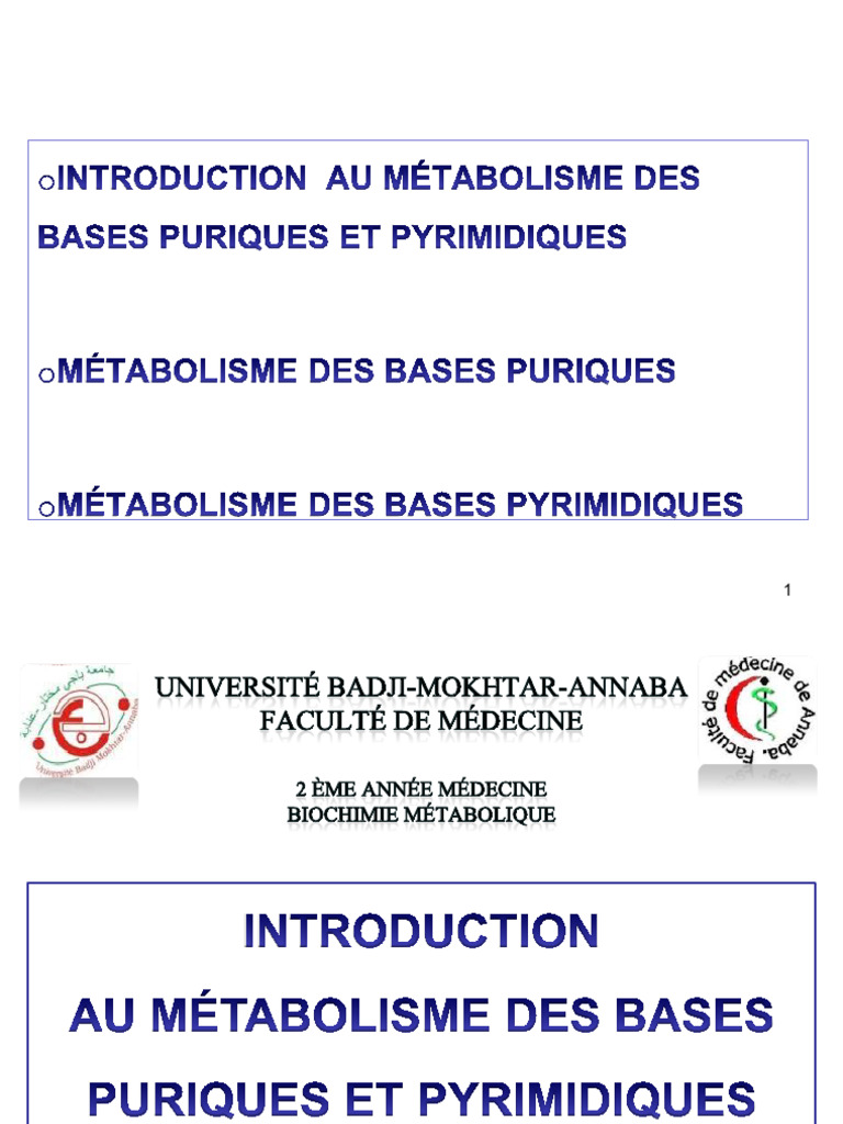 Métabolisme des bases puriques et pyrimidiques | PDF | Nucléotides | ADN