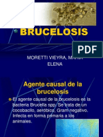 Brucelosis Presentacion