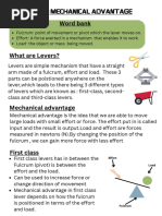 Understanding Third Class Levers | PDF | Lever | Kinematics