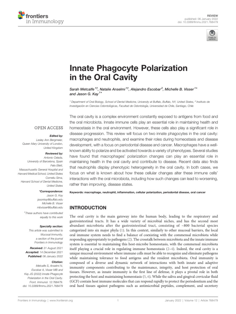Oral Cavity Phagocyte Polarization Review | PDF | Macrophage | Immune ...
