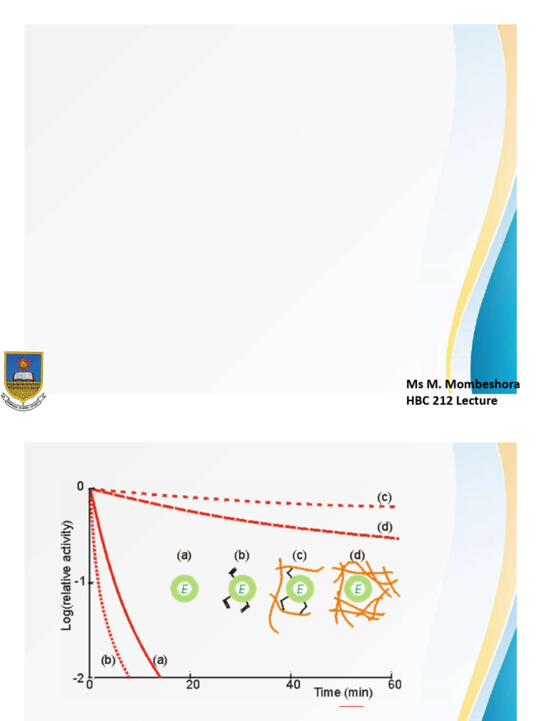 (10-13) 212 Kinetics of immobilised enzymes | PDF | Enzyme | Enzyme ...