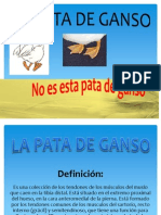 La Pata de Ganso