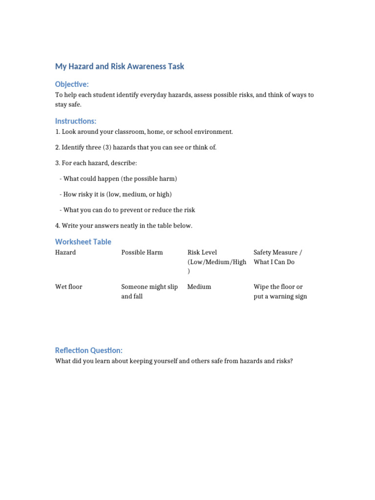 Hazard and Risk Individual Activity (1) | PDF