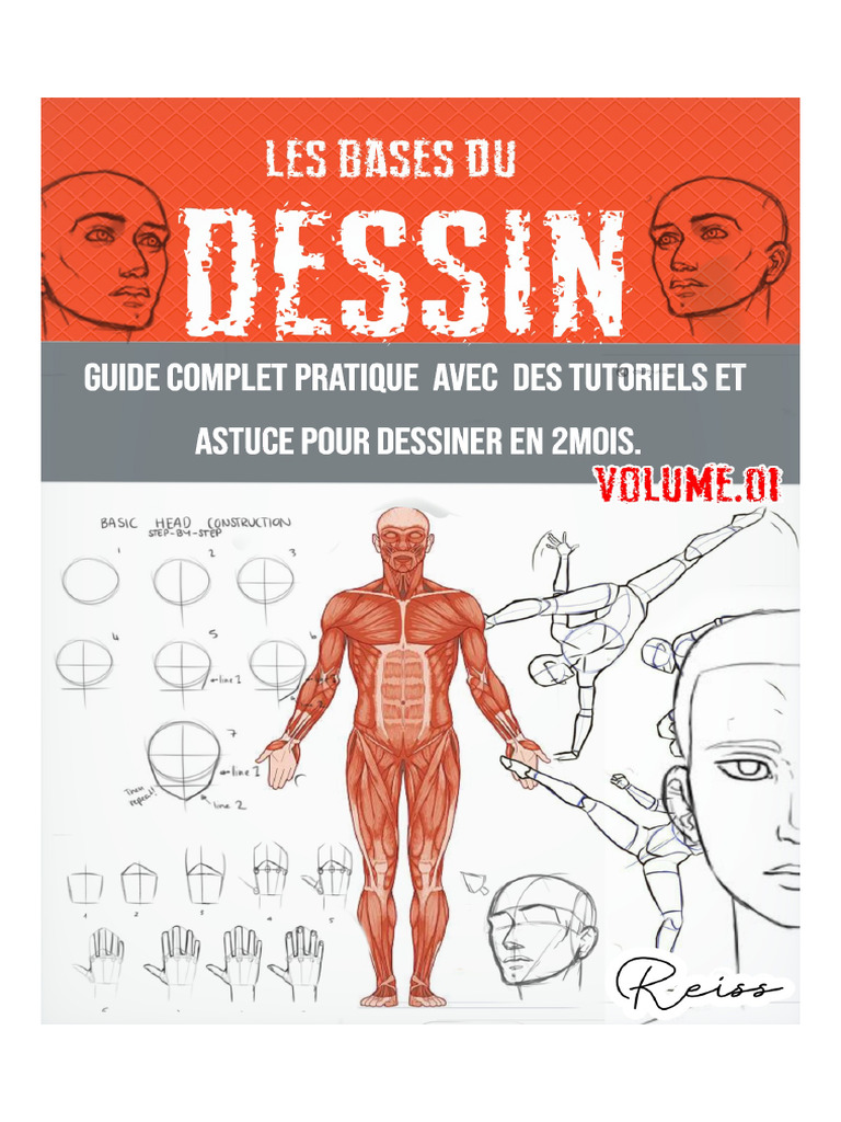 Les Base de Dessin .Volume 1 | PDF