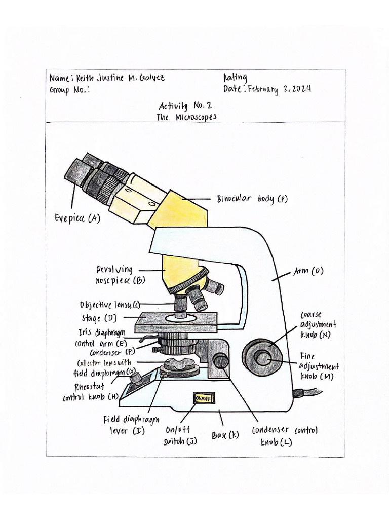 Microscope | PDF