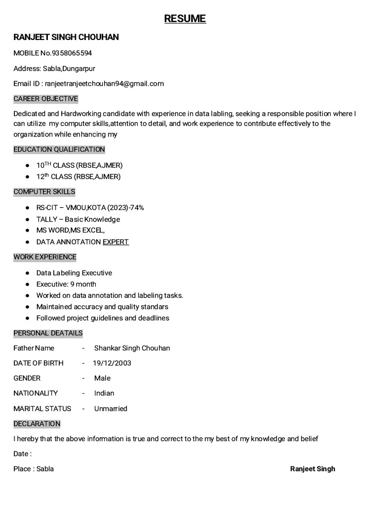 Data Labeling Executive Resume | PDF