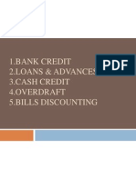 1.bank Credit 2.loans & Advances 3.cash Credit 4.overdraft 5.bills Discounting