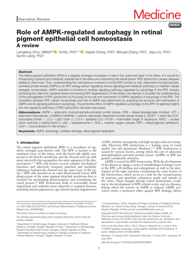 AMPK autophagy | PDF | Autophagy | Metabolic Pathway