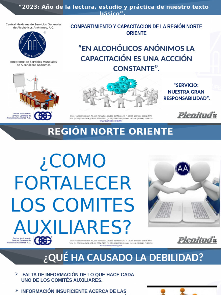 4 Como Fortalecel Los Comites Auxiliares | PDF | Amor