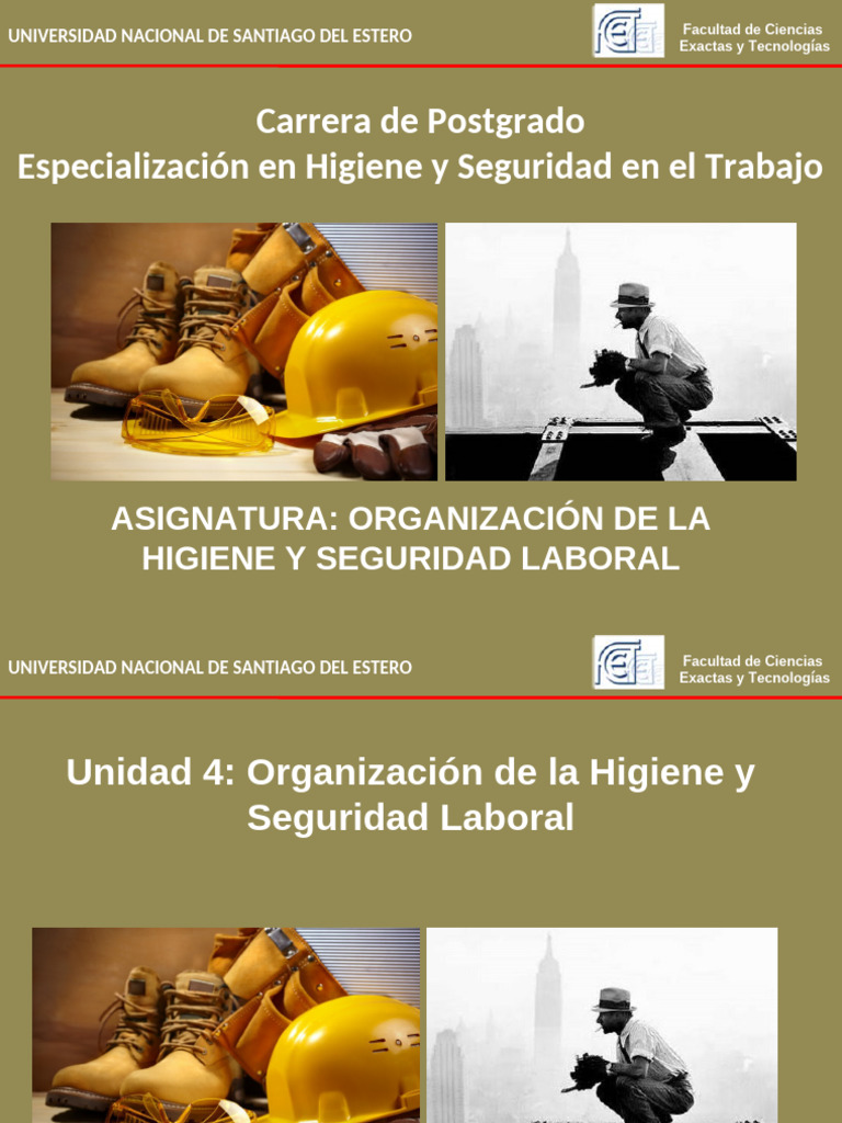 Organización de Higiene y Seguridad Laboral | PDF | Seguridad y salud ...