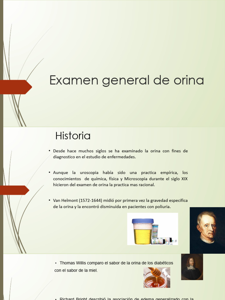 Examen General de Orina: Historia y Métodos | PDF | Bilis | Riñón