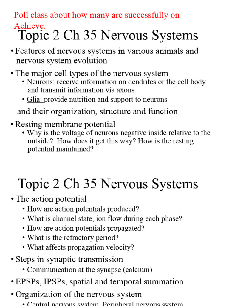 Nervous System Structure and Function | PDF | Chemical Synapse | Action ...