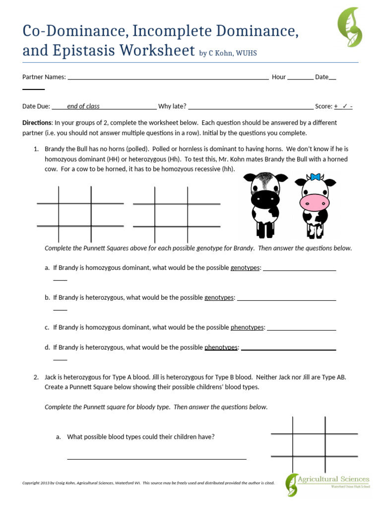 Genetics Worksheet: Dominance Types and Traits | PDF | Dominance ...