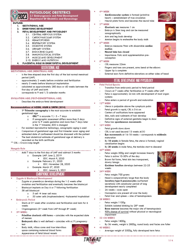 Embryonic and Fetal Development Overview | PDF | Pituitary Gland | Fetus