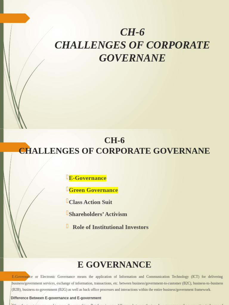 Corporate Governance Challenges Explained | PDF | Governance | E Government