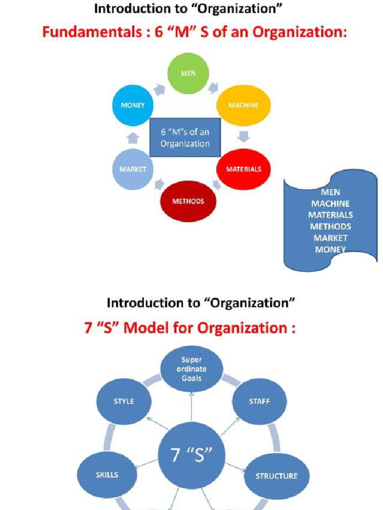 Intro To Organization | PDF