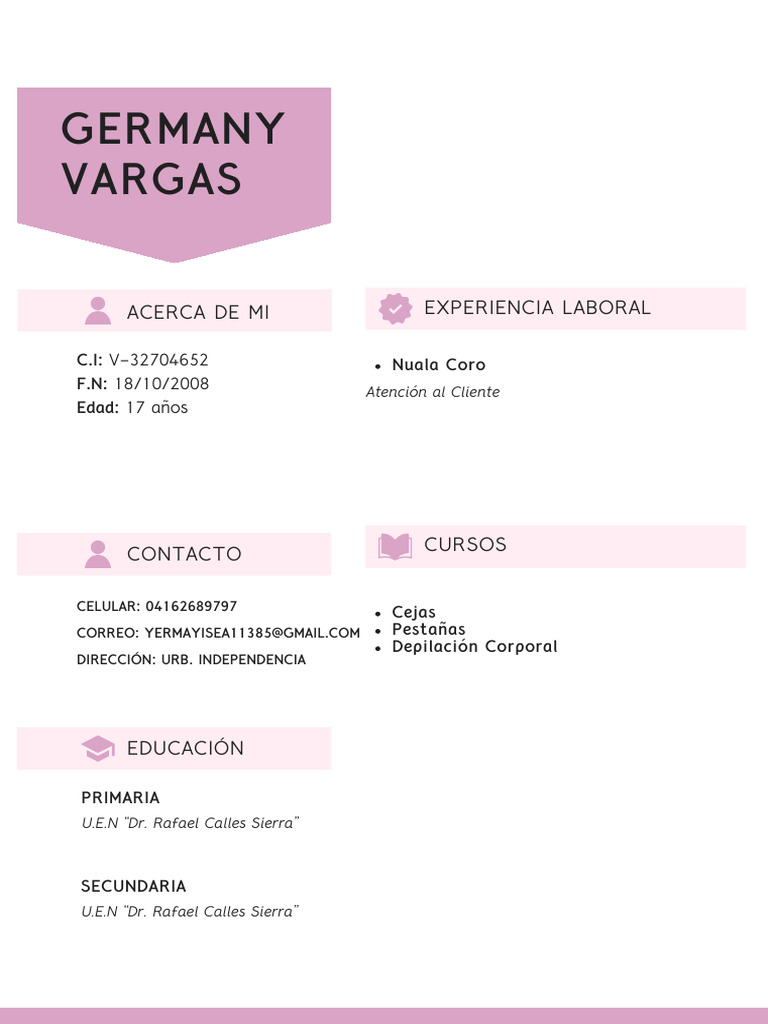 Curriculum Vitae CV de Mujer Profesional Vendedora Moderno Rosa | PDF