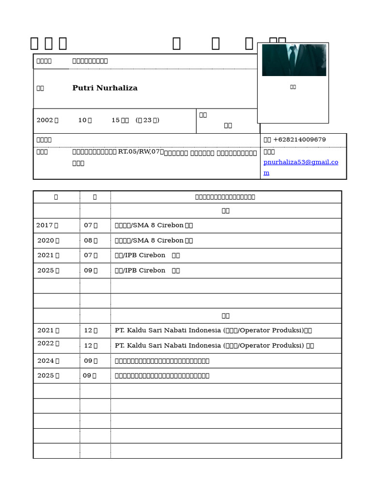 Rirekisho Template | PDF