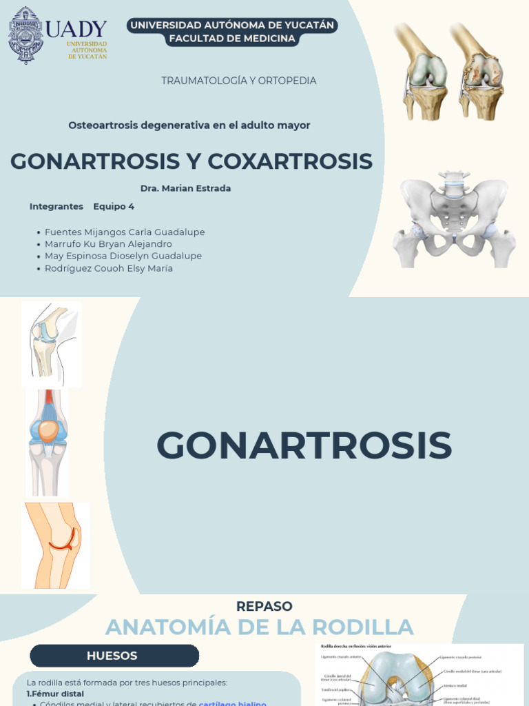 Gonartrosis y Coxartrosis | PDF | Rodilla | Articulación