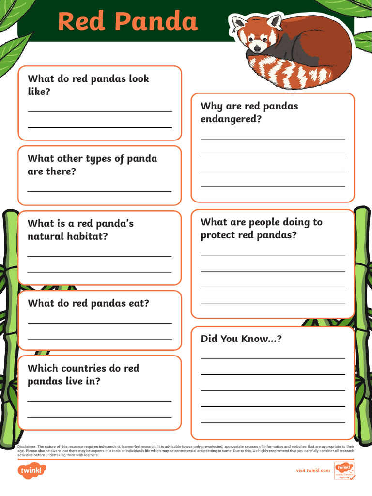 Red Panda Fact File Template | PDF