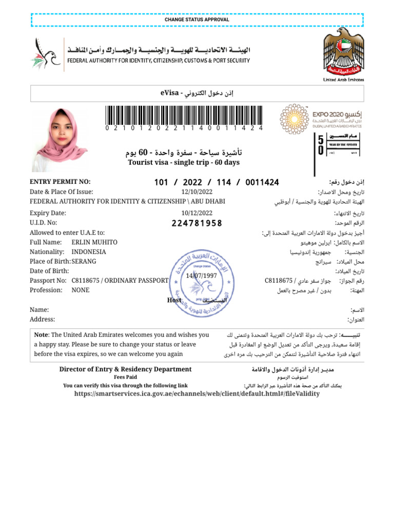 E Visa | PDF